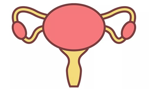 卵巢囊肿怎么办